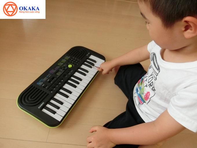 Đàn organ là dòng sản phẩm phổ biến hiện nay trên thị trường âm nhạc Việt với đa dạng các mẫu mã, thiết kế, giá thành, đáp ứng nhu cầu học tập giải trí ngày càng lớn của người yêu âm nhạc.